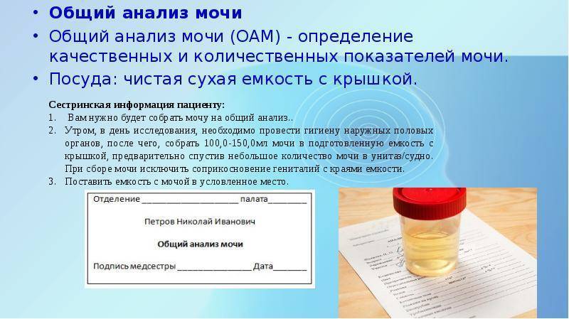 Как правильно сдать анализ мочи по нечипоренко