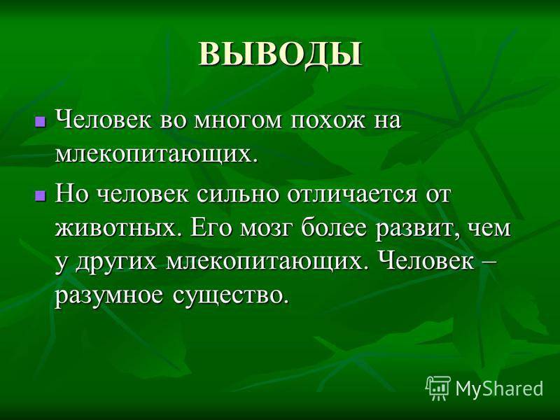 Человек и животные: сходства и отличия | частная школа. 8 класс
