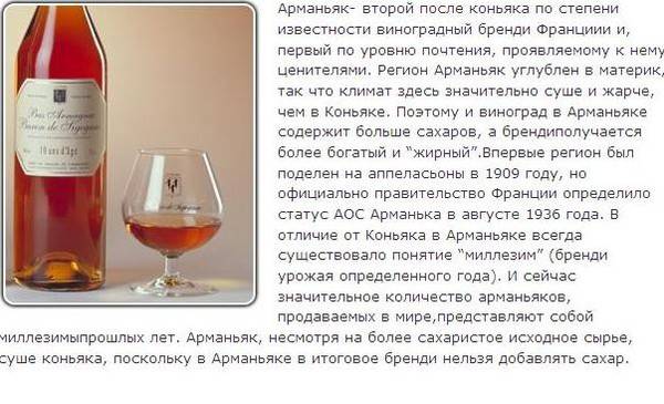 Бренди - какие есть виды и в чём его отличие от коньяка?