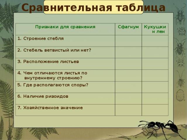 Чем сфагнум отличается от кукушкина льна — таблица
