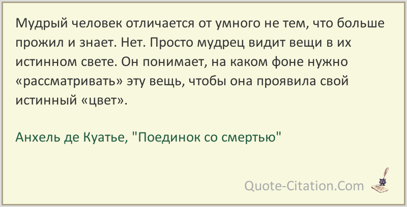 Ум и разум: в чем разница и основные отличия, сравнение