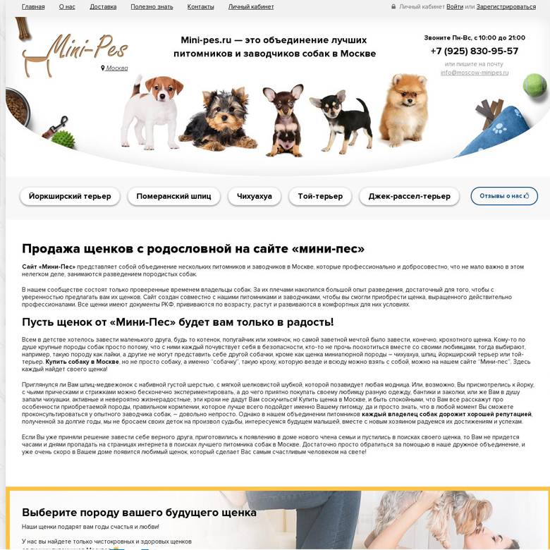 Как стать заводчиком собак - породы 2024