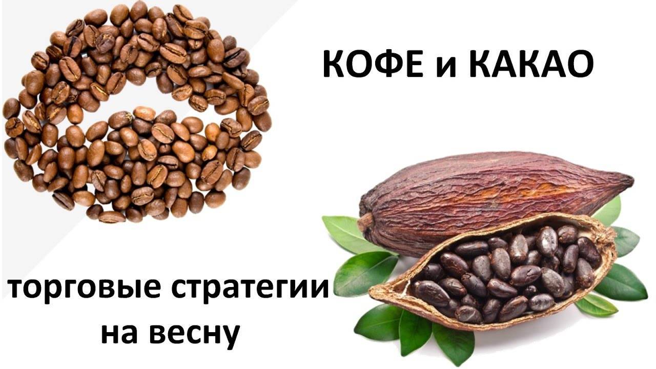 Какао и горячий шоколад: в чем разница?