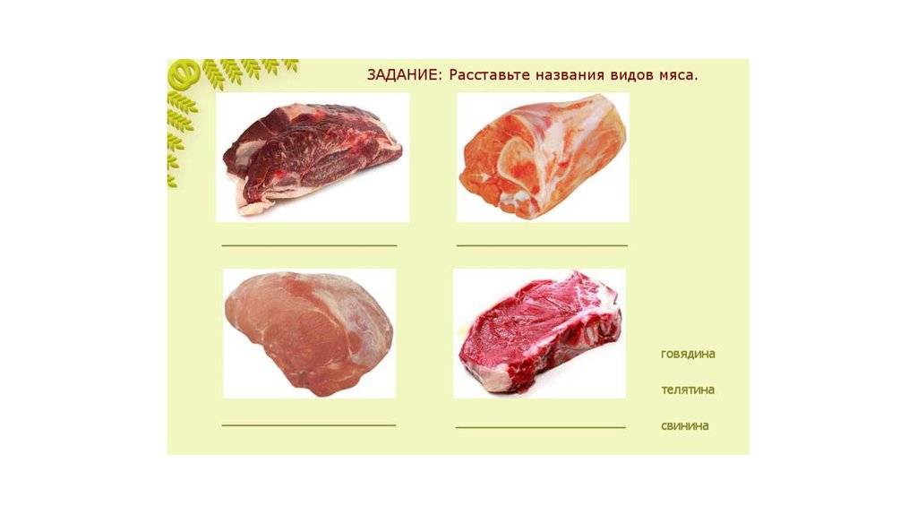 Чем телятина отличается от говядины? является ли мясо молодого бычка телятиной.