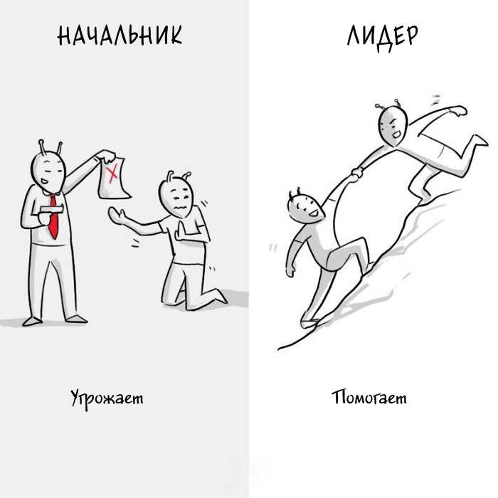 Как отличается директор от руководителя?
