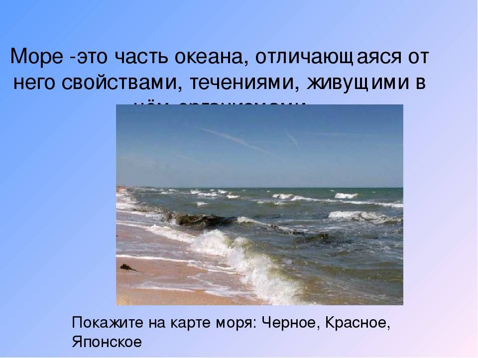 Чем отличается океан от моря — основные критерии различий, описание водоёмов и чем они примечательны