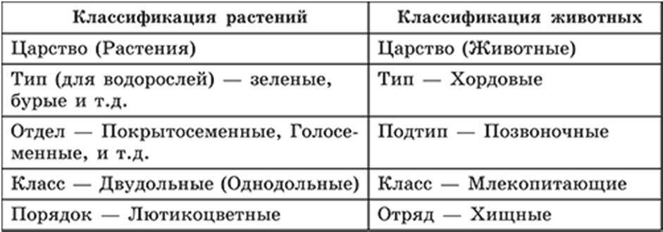 Чем животные отличаются от растений | в чем разница