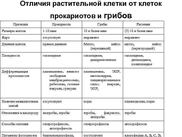Бактерии в отличие от растений: особенности строения и жизнедеятельности