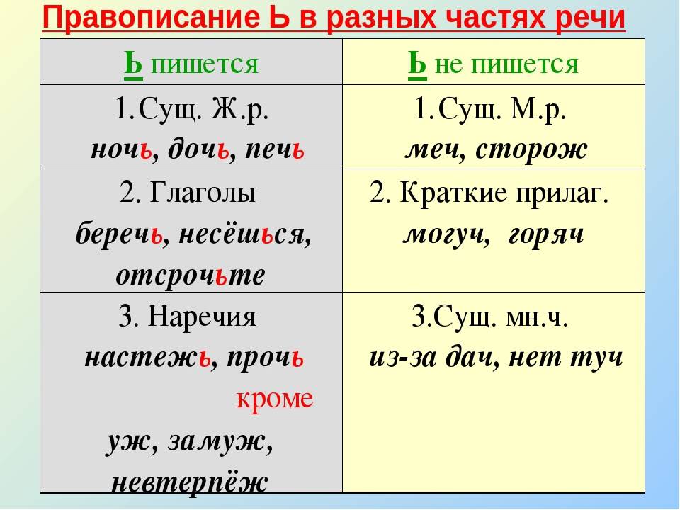 Как правильно пишется слово нет или нету