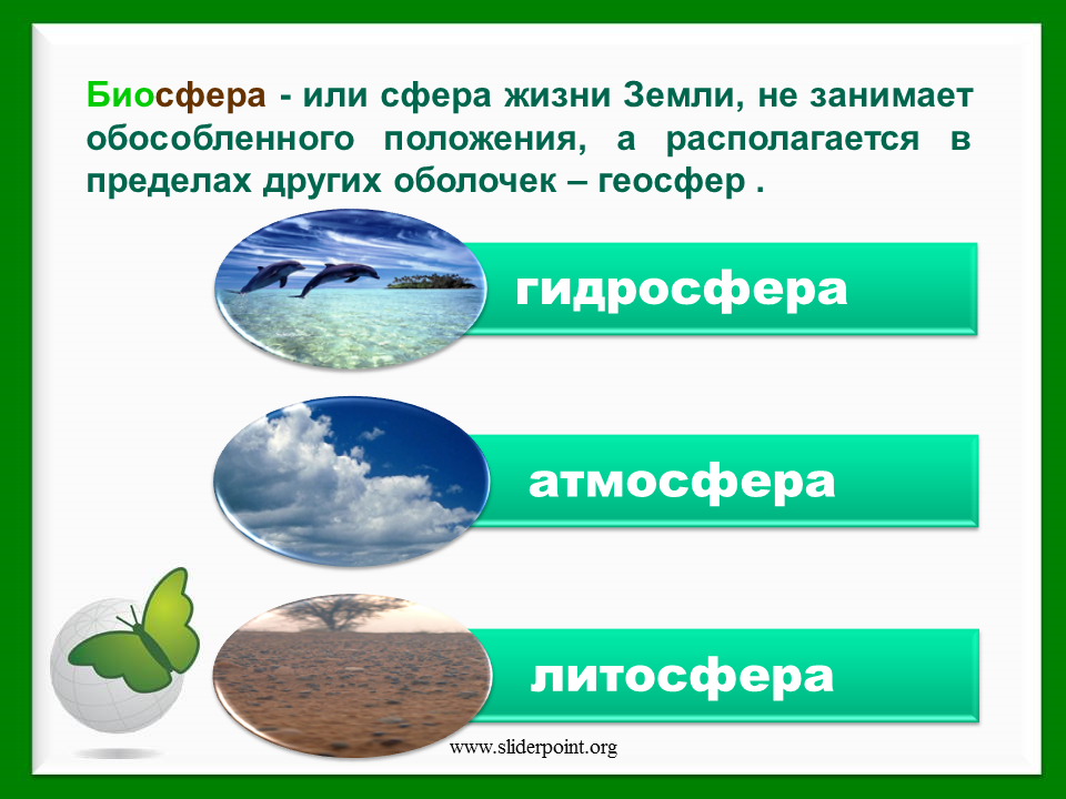 Отличие экосистемы от биосферы - couturecloud.ru
