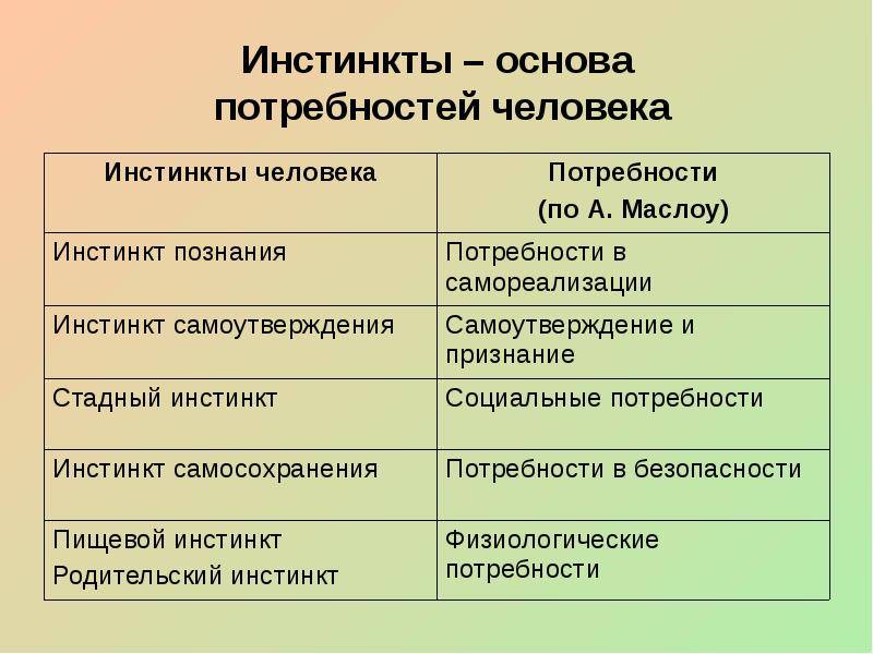 Чем нужда отличается от потребности