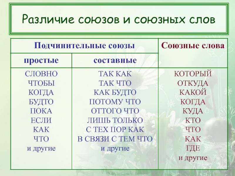 Союзы ⭐ и союзные слова в сложноподчиненном предложении: как отличить, таблица