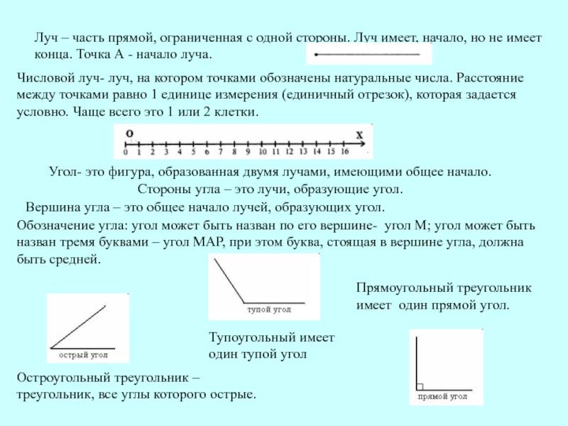 Виды лучей в геометрии