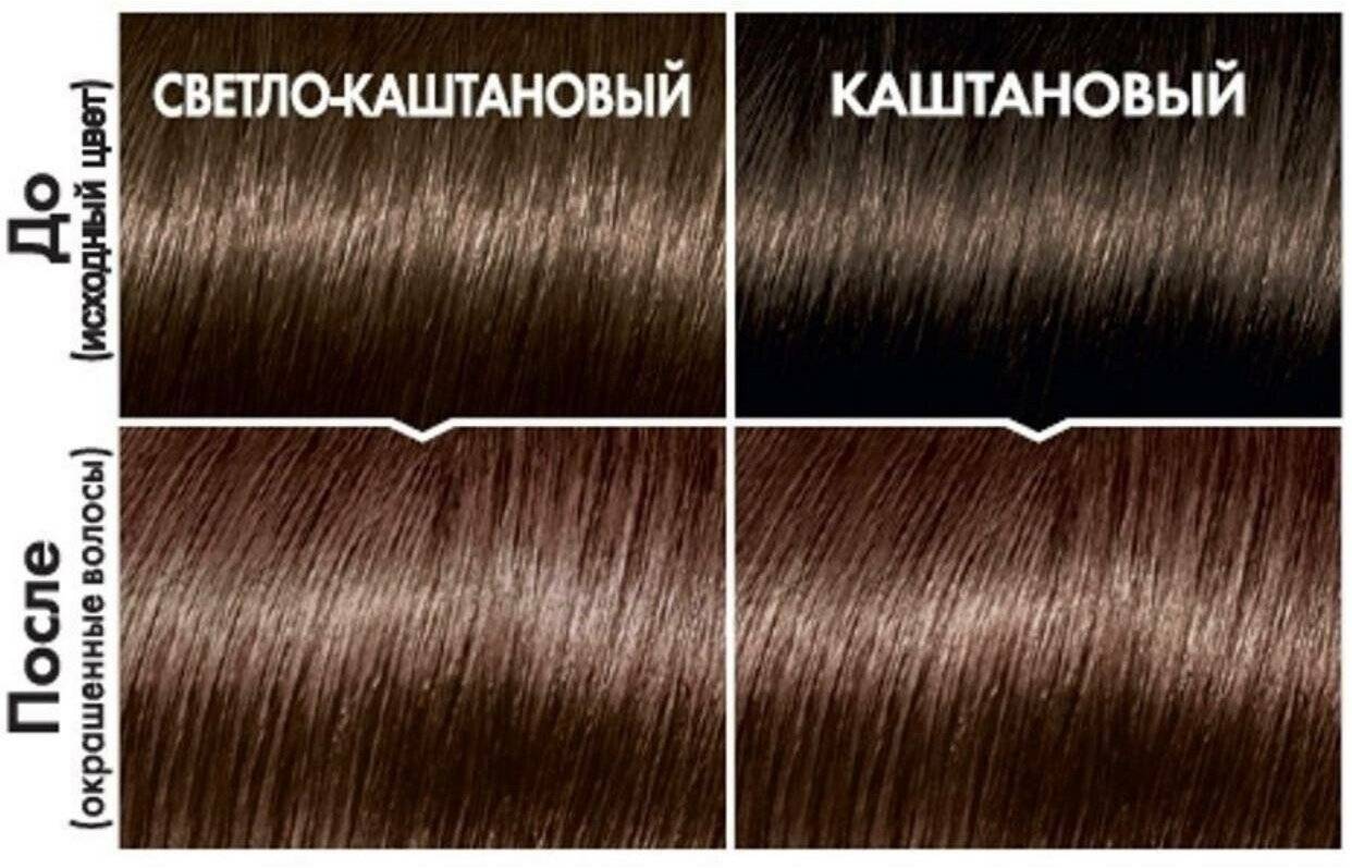 Шатен и брюнет: какие различия между мужчинами?