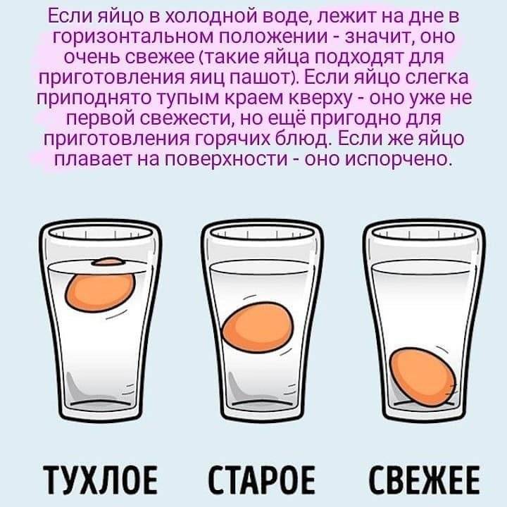 Как проверить яйца на свежесть