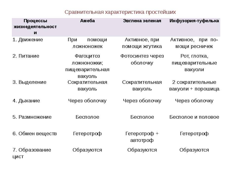 3 различия между микробами и бактериями | познание мира