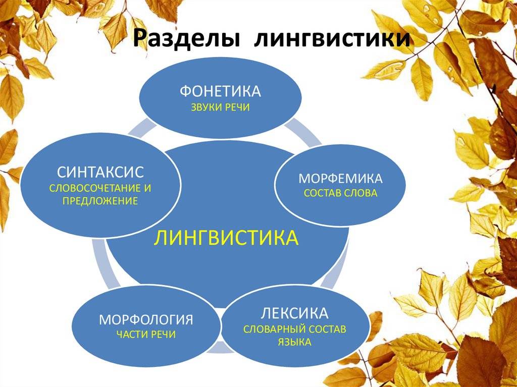 Лингвистика