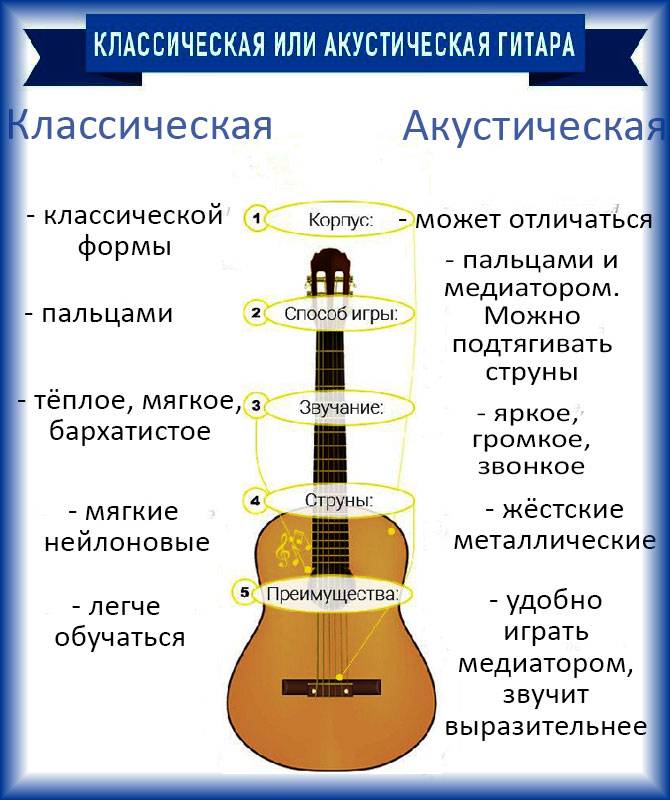 Виды гитар: какие бывают и кто на них играет / skillbox media