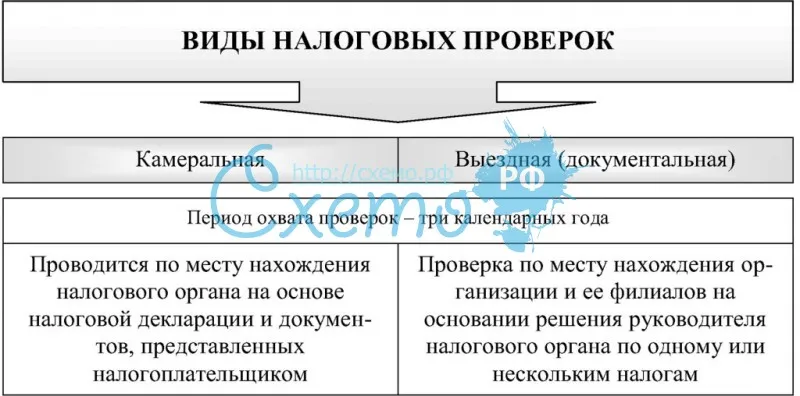 Какие бывают налоговые проверки, и что могут проверять инспекторы?