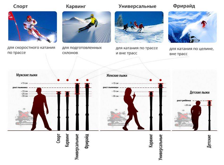 Как выбрать горные лыжи?