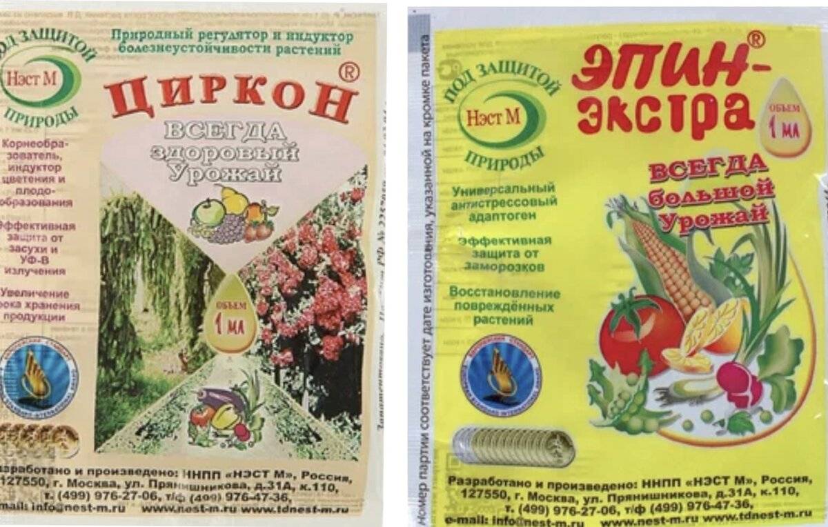 Эпин или циркон для растений: что выбрать?
