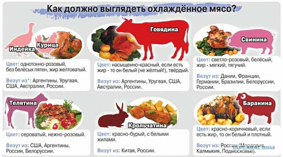 Как отличить свинину от говядины? мясные хитрости: как отличить один вид мяса от другого? как проверить качество свинины