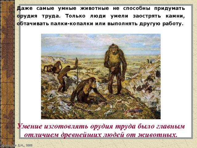 В чем коренные различия между человеком и животным, принципиальные отличия