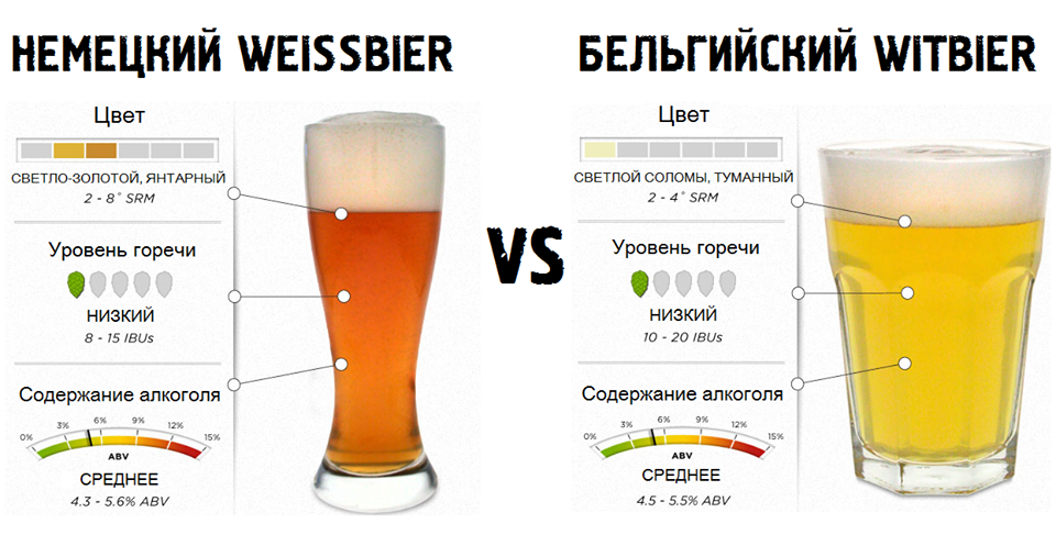 Что такое ирландский эль в чем отличия от пива?
