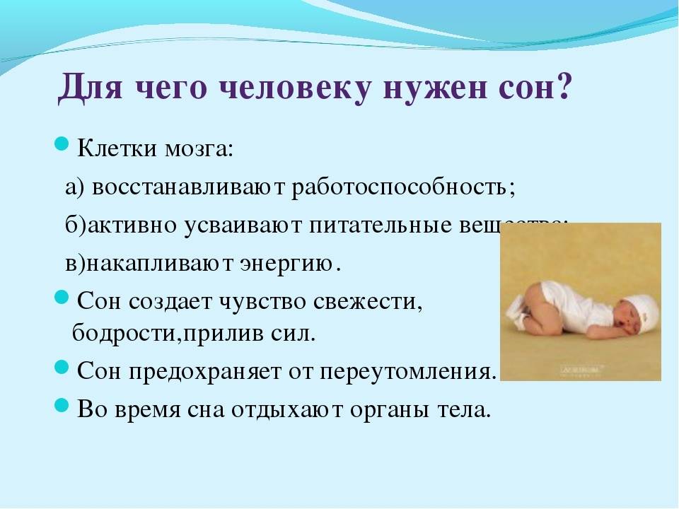 Гид по сну: как он работает и для чего нужен? - fitlabs / ирина брехт