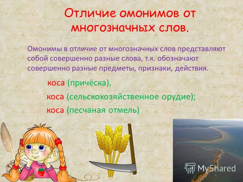 Омонимы и многозначные слова: различия и особенности
