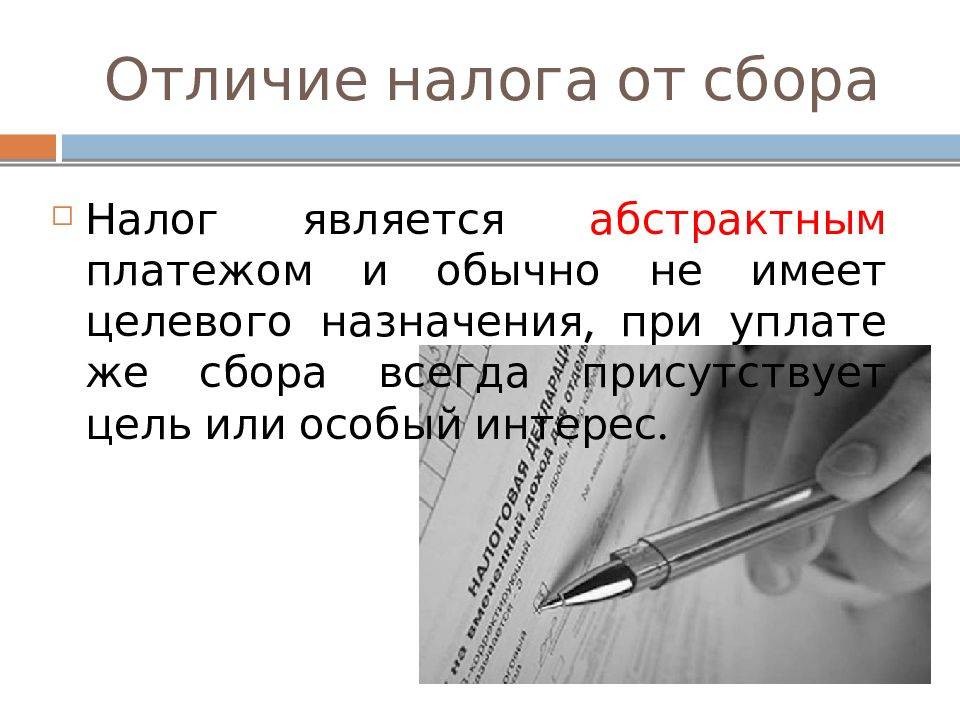 Отличия налога, сбора и пошлины: что важно знать