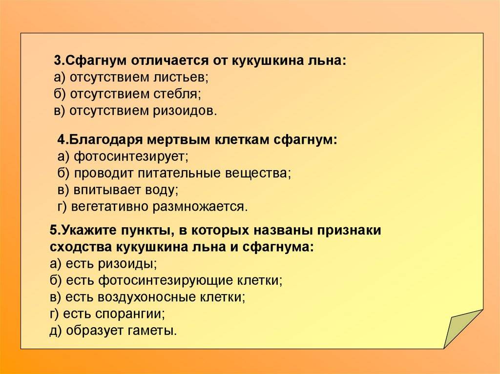Чем кукушкин лен отличается от сфагнума – сходства и сравнительная таблица
