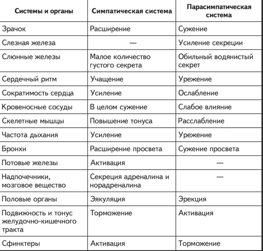 Наиболее сложные вопросы преподавания раздела «человек и его здоровье»