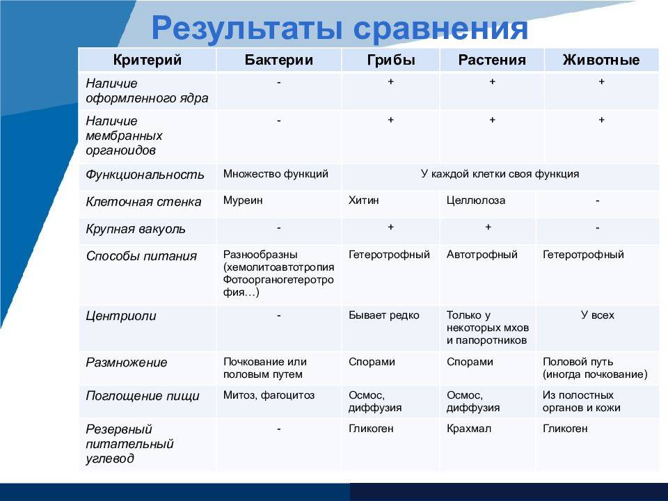 Отличие клетки гриба от бактерии. Сравнительная характеристика строения клетки растений и бактерий.