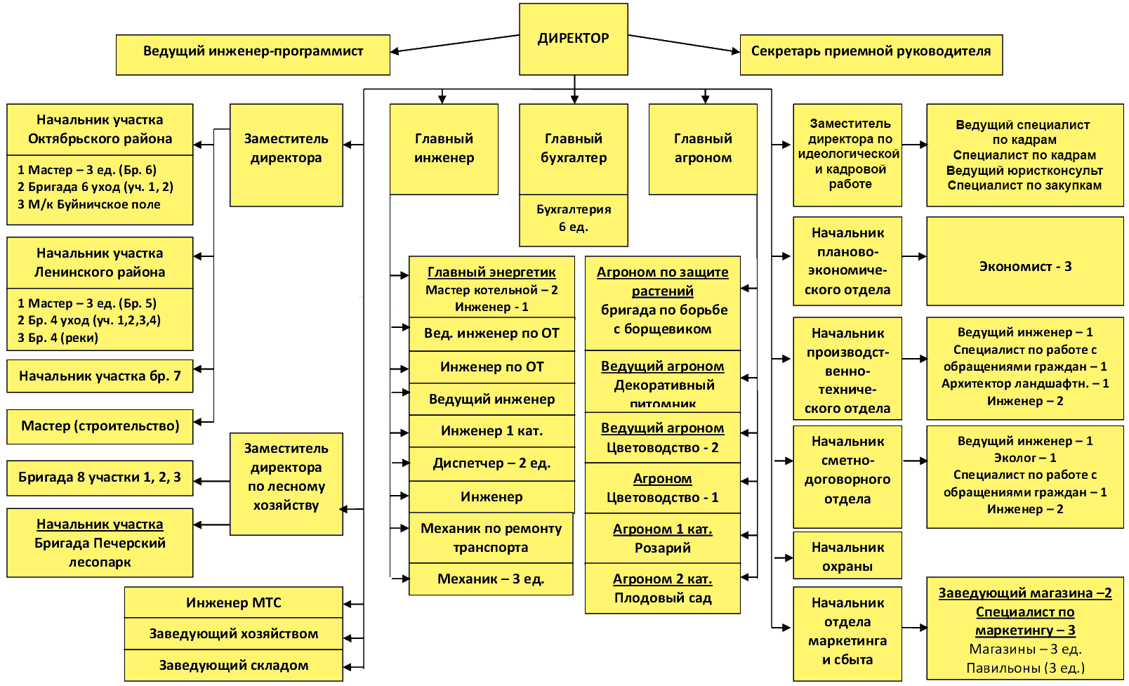 Департамент хозяйства центральный округа. Должности на предприятии. Управляющие должности на предприятии. Организационная структура предприятия производства. Иерархия должностей.