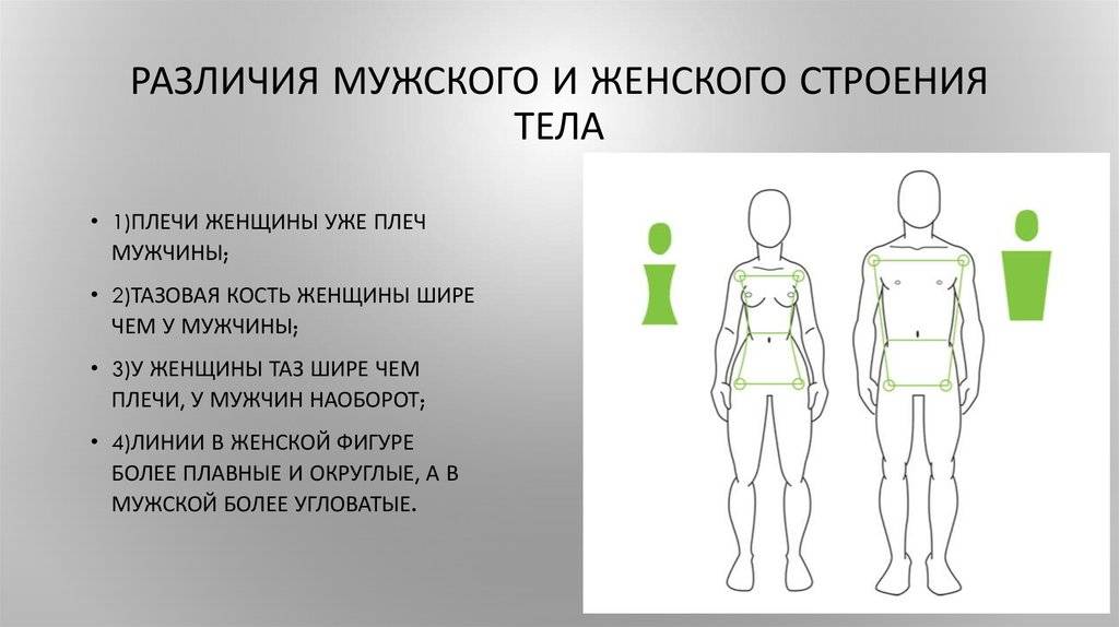 Реальные различия между мужчиной и женщиной