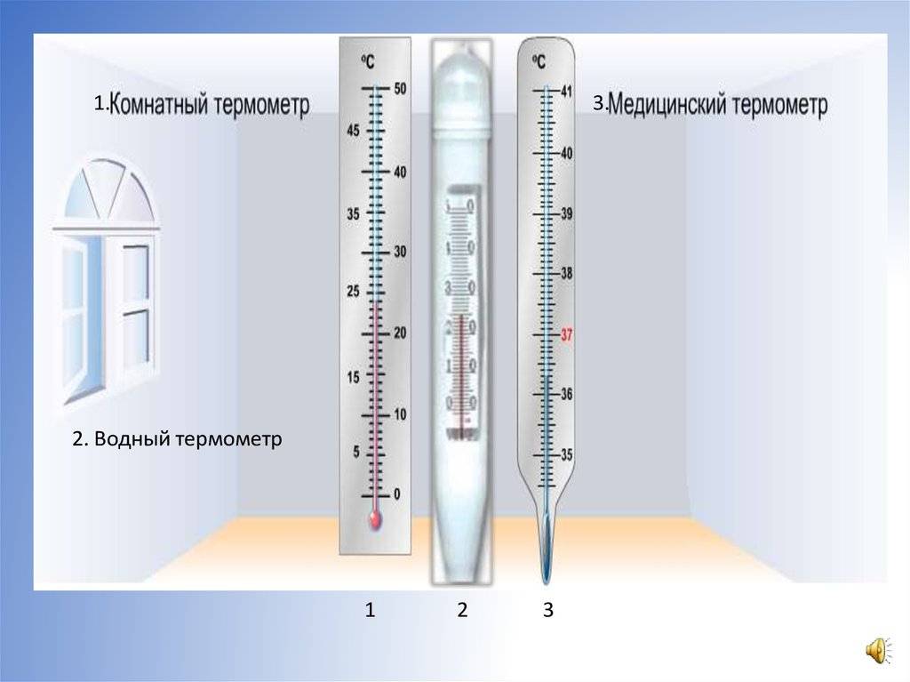 В чем разница между градусником и термометром - creativegurumind.ru