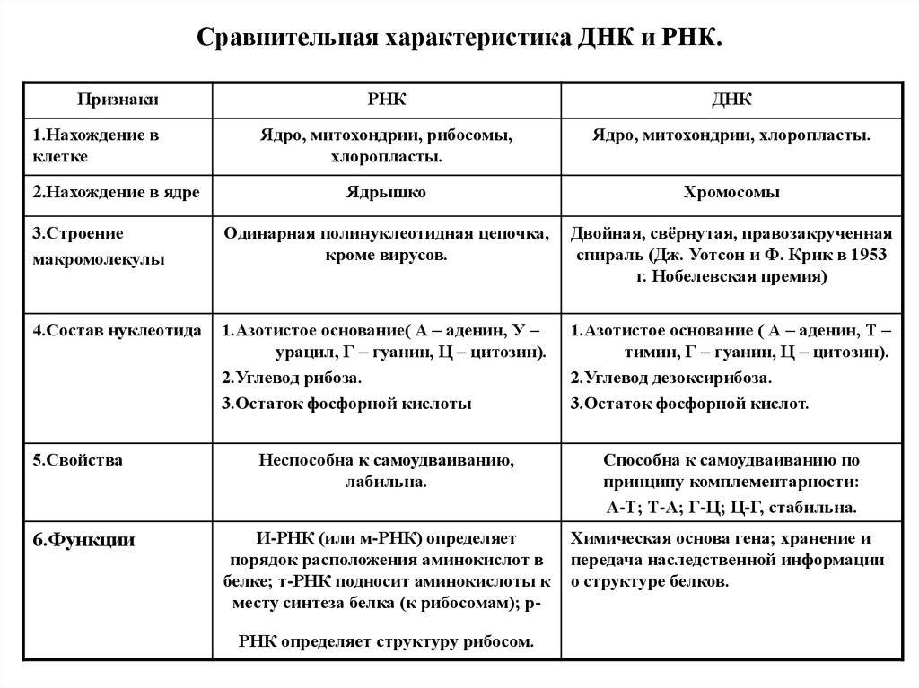 Чем отличается объект от субъекта