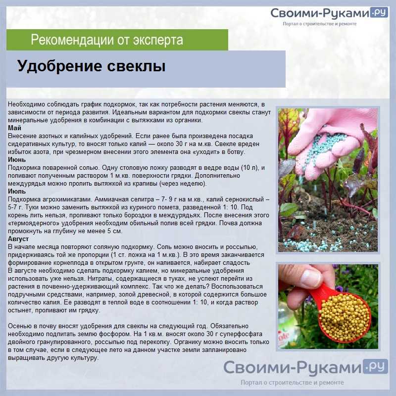 5 простых рецептов домашних удобрений для дачи