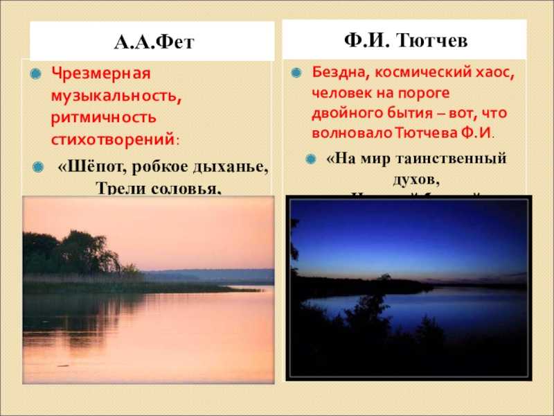 Лирика в литературе - определение, виды и особенности жанра