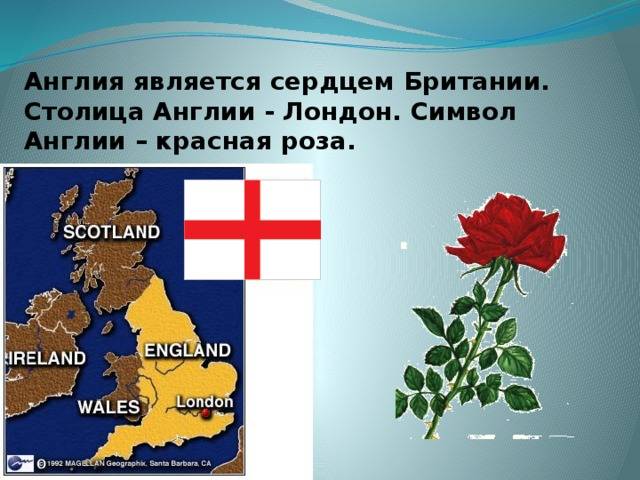 Символ англии (много фото) - treepics.ru