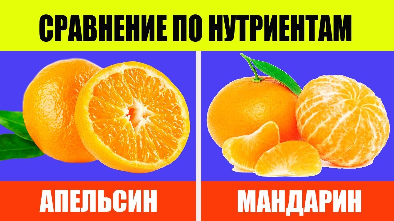 Мандарины или апельсины: одно качество в двух формах. взаимозаменяемы ли эти два фрукта или все — таки, каждый из них уникален? 