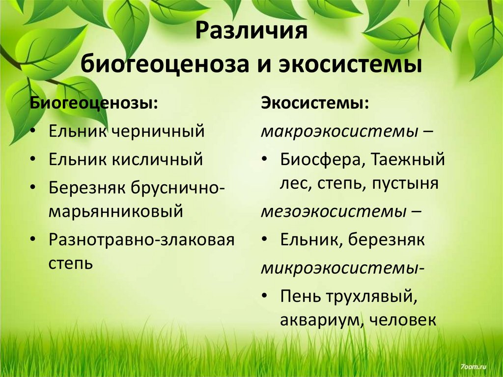 Сравнительная характеристика экосистемы и агроэкосистемы вывод. разница между биогеоценозом и агроценозом