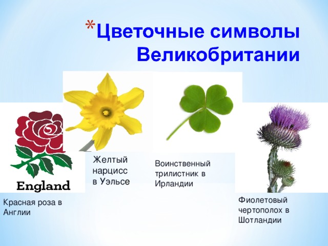 Символы британии