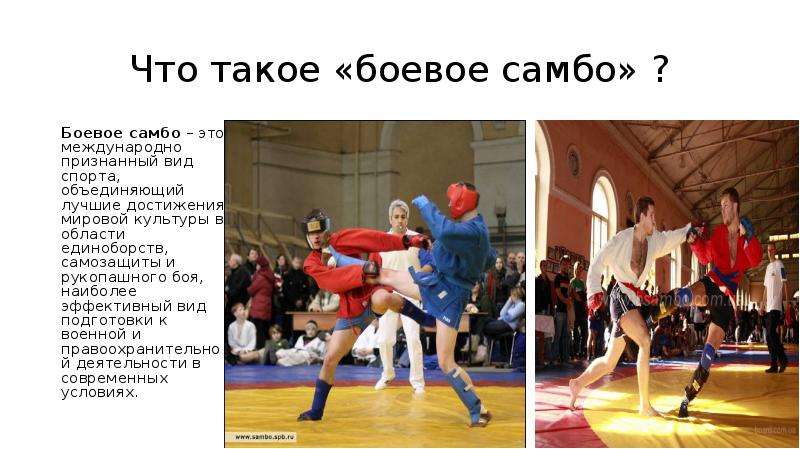 Что такое самбо: история создания, направления, спортивный и боевой раздел, техника и правила