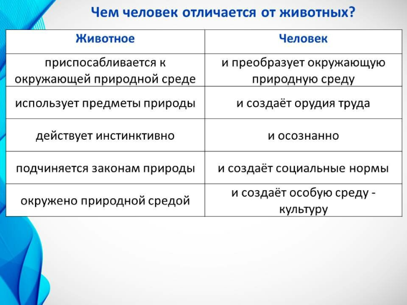 Различия человека и животного: в чем состоят коренные и принципиальные отличия