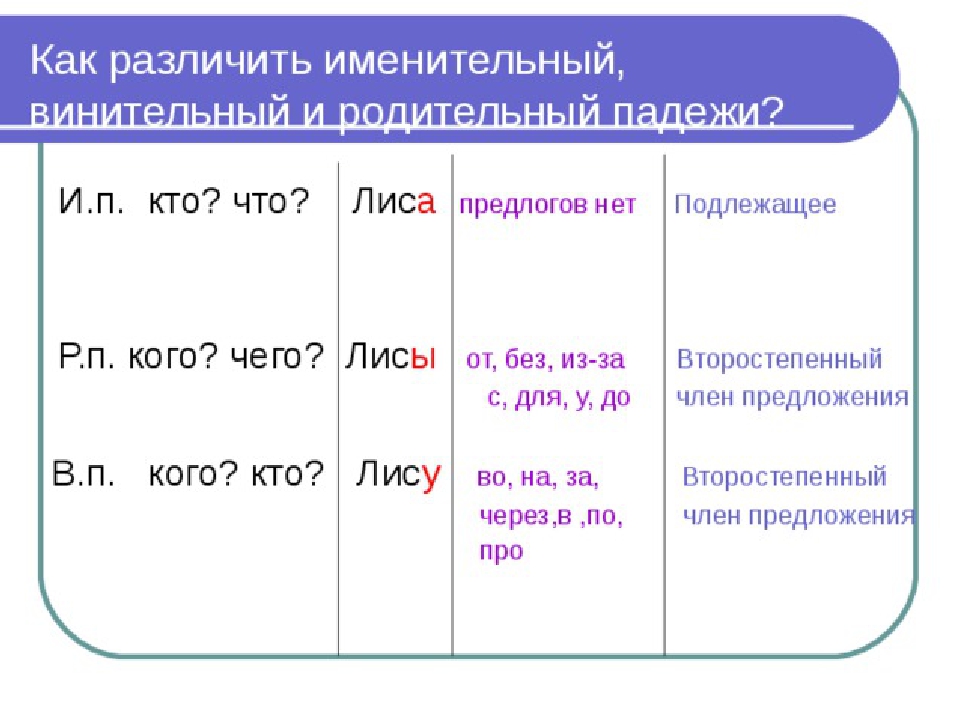 Именительный падеж – как его определить, не спутать с другими падежами, и что вообще про него надо знать