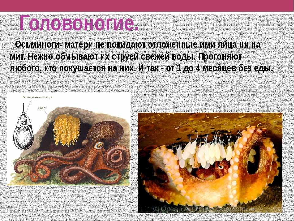 Биология