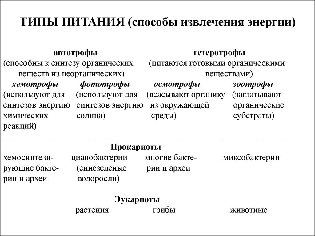 Различия организмов по способу питания