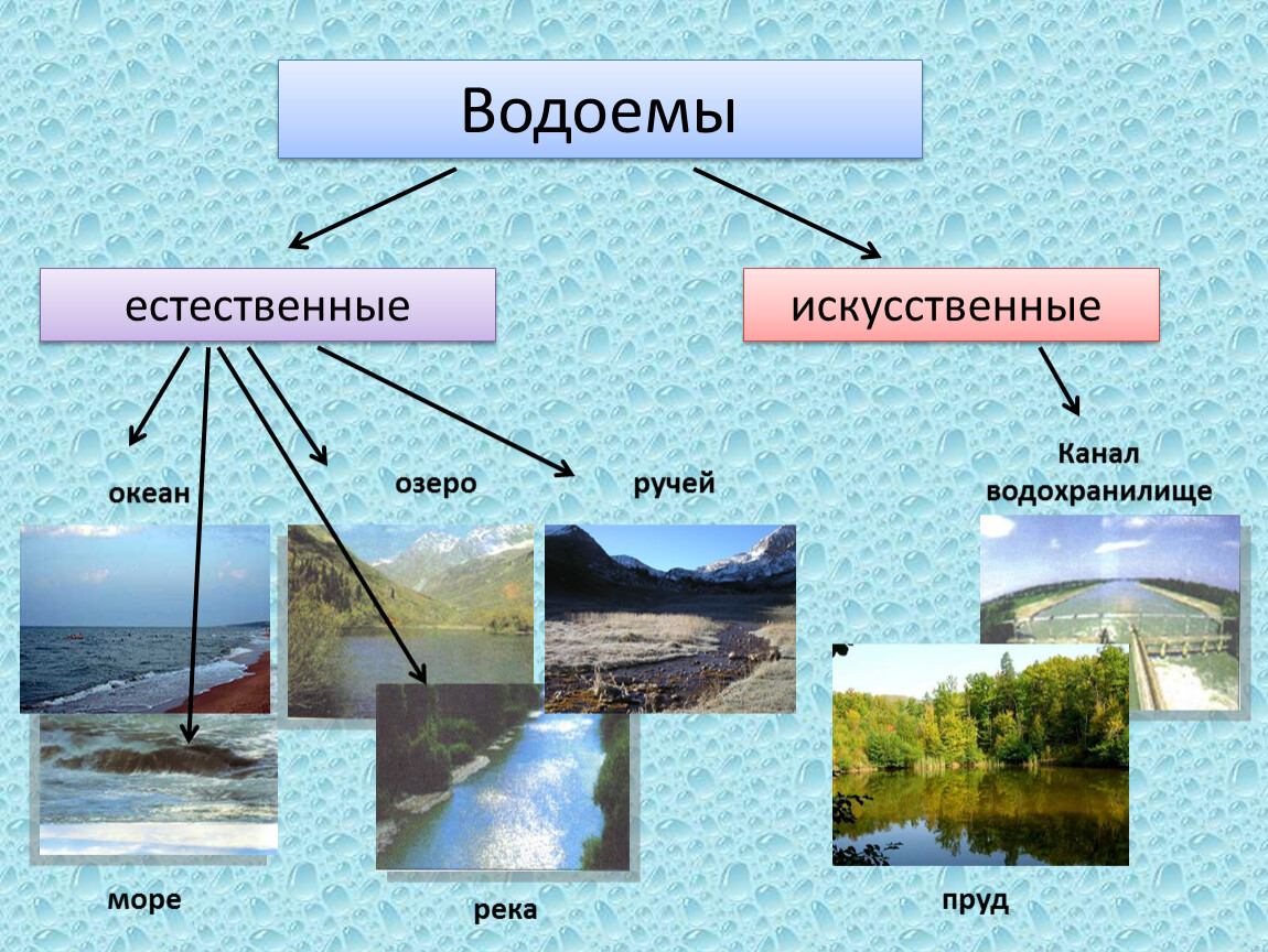 Что такое река: определение, схема строения, 7 интересных фактов